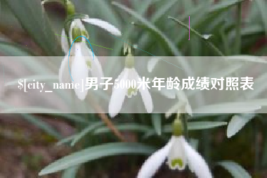 益阳男子5000米年龄成绩对照表