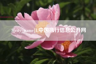 益阳1.中国执行信息公开网