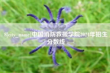 益阳中国消防救援学院2024年招生分数线