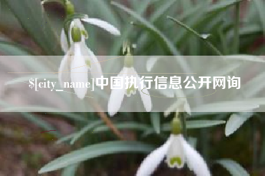 益阳中国执行信息公开网询