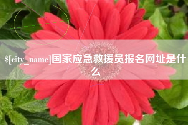 益阳国家应急救援员报名网址是什么