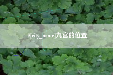 益阳九宫的位置
