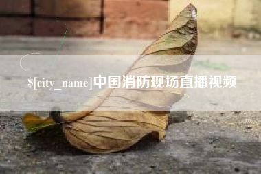益阳中国消防现场直播视频