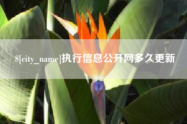 益阳执行信息公开网多久更新