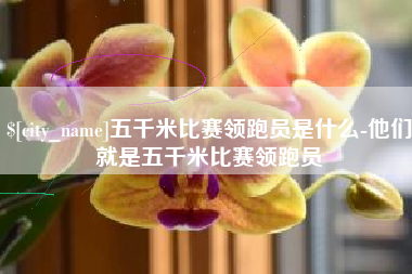 益阳五千米比赛领跑员是什么-他们就是五千米比赛领跑员