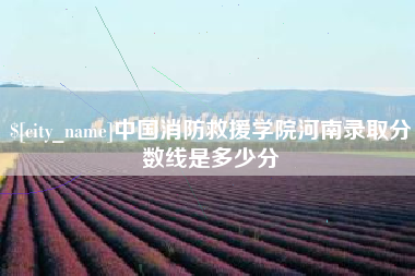 益阳中国消防救援学院河南录取分数线是多少分