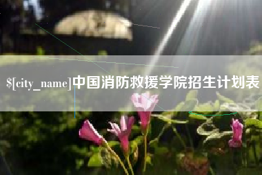 益阳中国消防救援学院招生计划表
