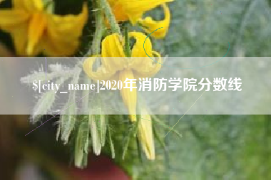 益阳2020年消防学院分数线