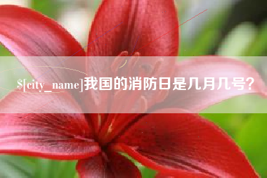 益阳我国的消防日是几月几号？