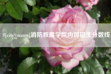 益阳消防救援学院内部招生分数线