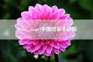 益阳中国冠军手抄报