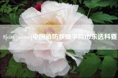 益阳中国消防救援学院山东选科要求