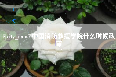 益阳中国消防救援学院什么时候政审