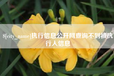 益阳执行信息公开网查询不到被执行人信息