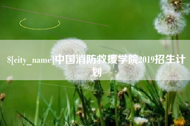 益阳中国消防救援学院2019招生计划