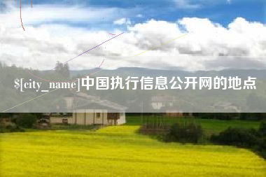益阳中国执行信息公开网的地点