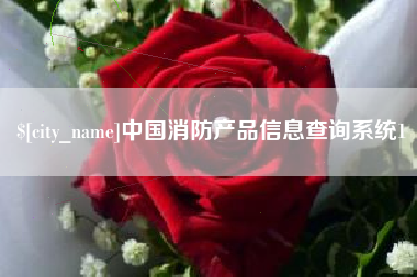 益阳中国消防产品信息查询系统1
