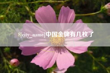 益阳中国金牌有几枚了