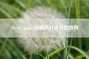 益阳中国执行执行信息网