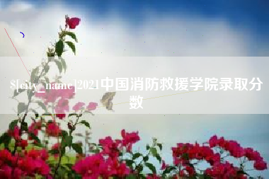 益阳2021中国消防救援学院录取分数