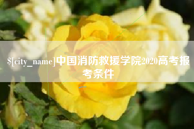 益阳中国消防救援学院2020高考报考条件