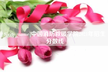 益阳中国消防救援学院2021年招生分数线