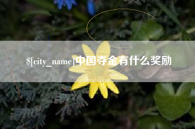 益阳中国夺金有什么奖励