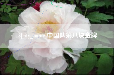 益阳中国队第八块金牌