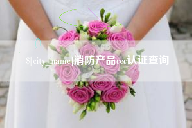 益阳消防产品ccc认证查询
