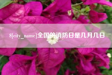 益阳全国的消防日是几月几日