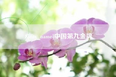 益阳中国第九金牌