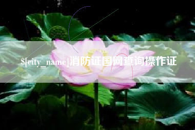 益阳消防证国网查询操作证