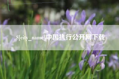 益阳中国执行公开网下载