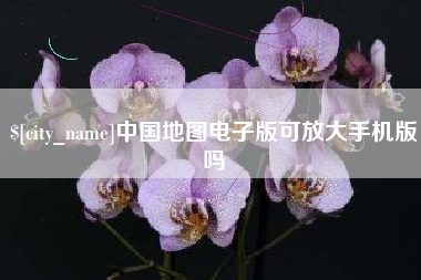 益阳中国地图电子版可放大手机版吗