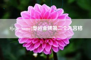 益阳奥运金牌第二个九宫格