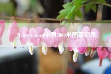 益阳中国5000米国家记录