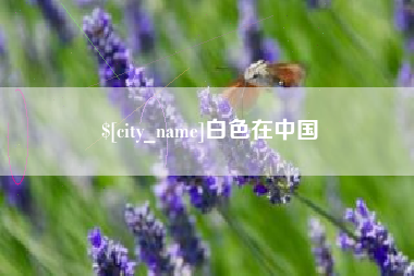 益阳白色在中国