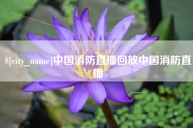 益阳中国消防直播回放中国消防直播