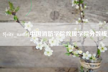 益阳中国消防学院救援学院分数线