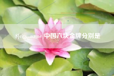 益阳中国六块金牌分别是
