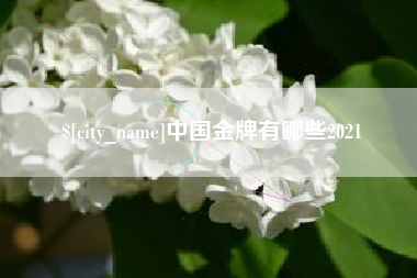 益阳中国金牌有哪些2021