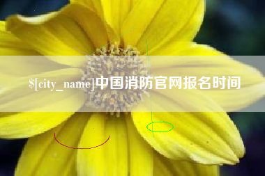 益阳中国消防官网报名时间