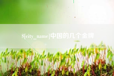 益阳中国的几个金牌