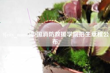 益阳中国消防救援学院招生章程公布!