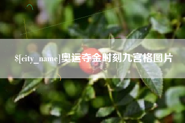 益阳奥运夺金时刻九宫格图片