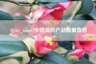 益阳中国消防产品质量信息