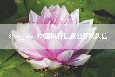 益阳中国执行信息公开网失信