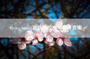 益阳消防院校报考条件合集