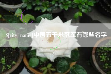 益阳中国五千米冠军有哪些名字