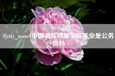 益阳中国消防救援学院毕业是公务员吗